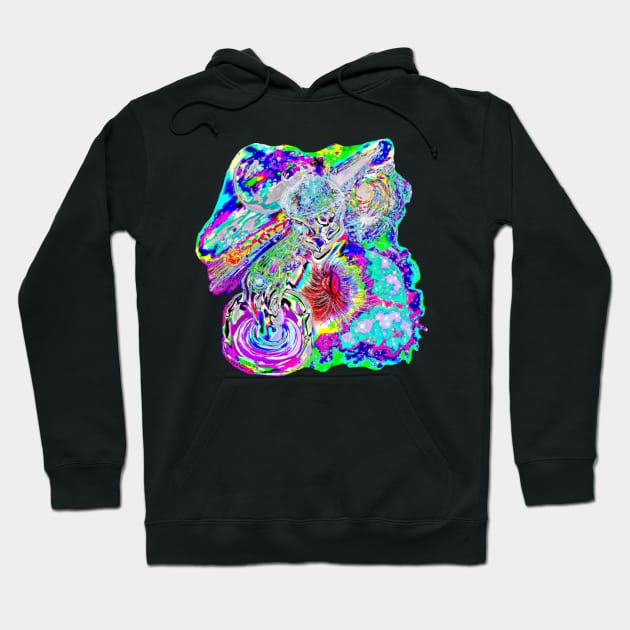 Official :2nd End; Psychedelic Enlightenment Hoodie by 2ndEnd